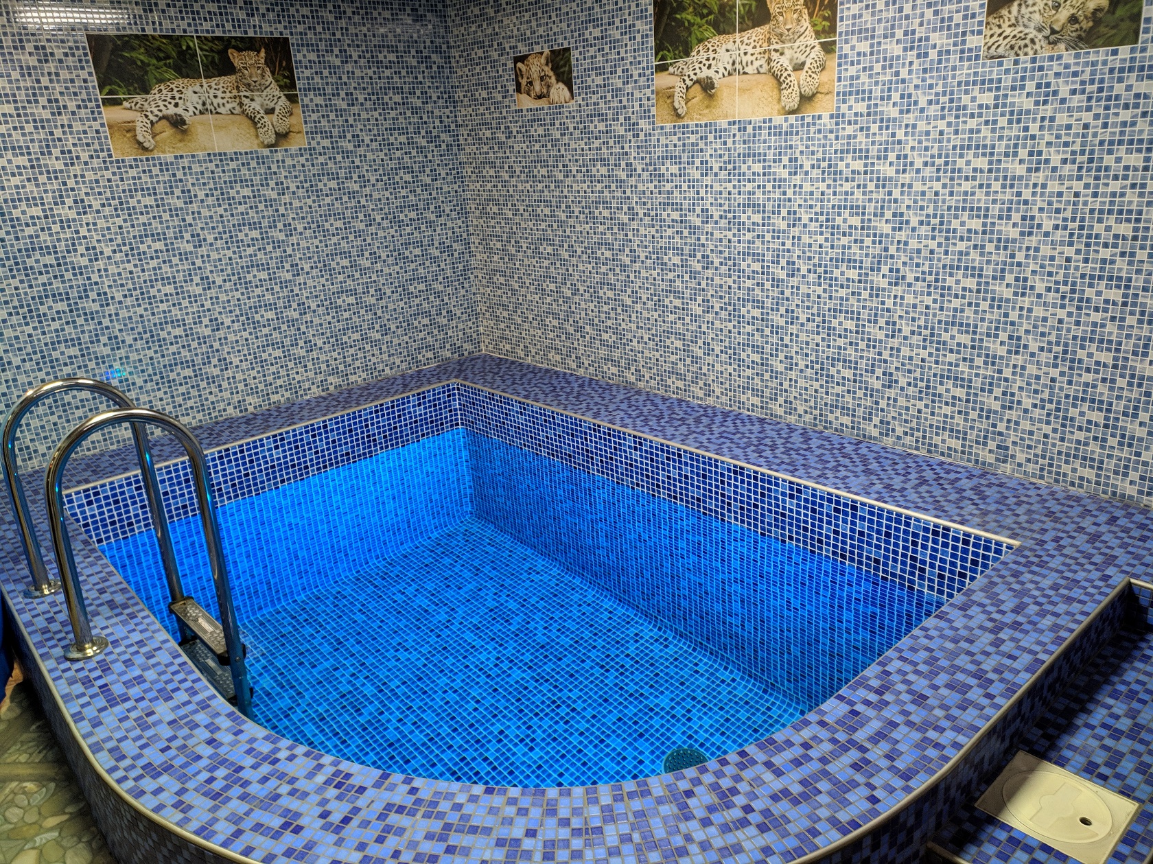 Резиденция белгород сауна бассейн. Резиденция белгород сауна бассейн. Сауна африка белгород. Сауна атлант кострома. Атланта сауна кострома.